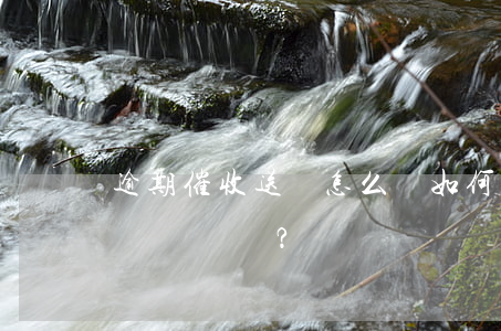 逾期催收送達怎么辦，如何處理逾期催收送達問題？